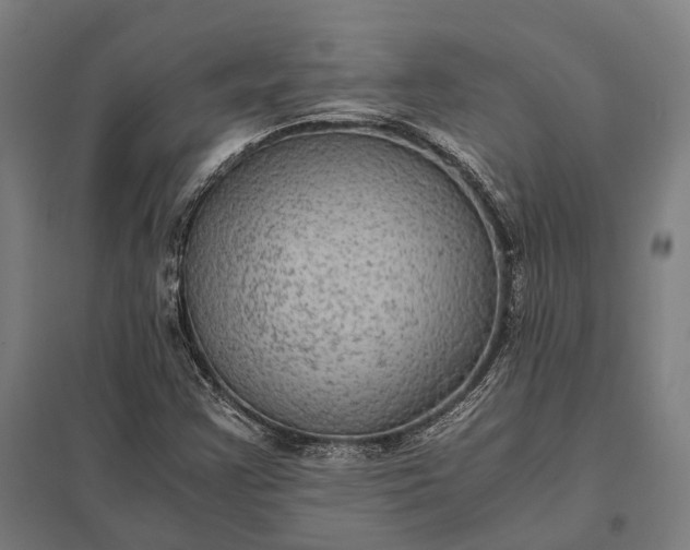 X0000097921355200803281416