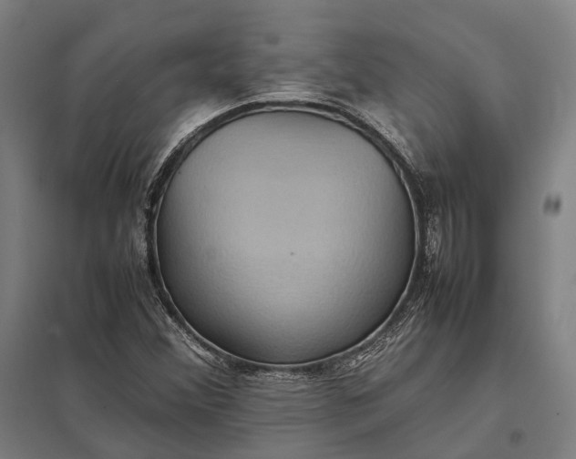 X0000097921356200803281416