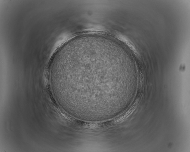 X0000097921357200803281416