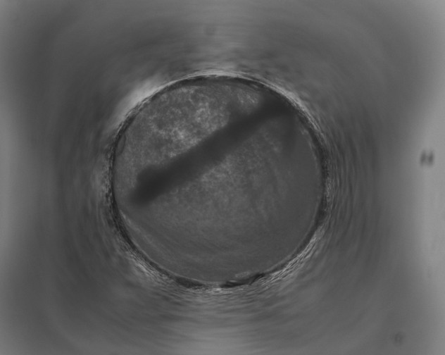 X0000097921359200803281416