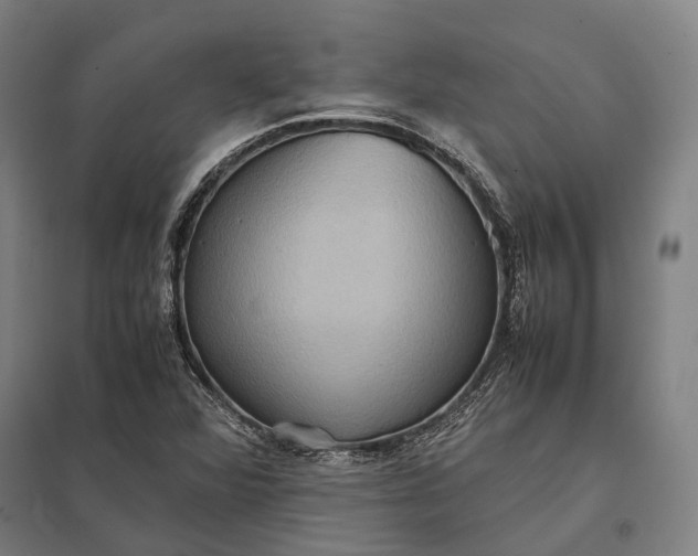 X0000097921360200803281416