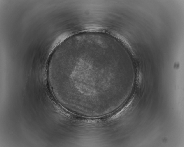 X0000097921362200803281416