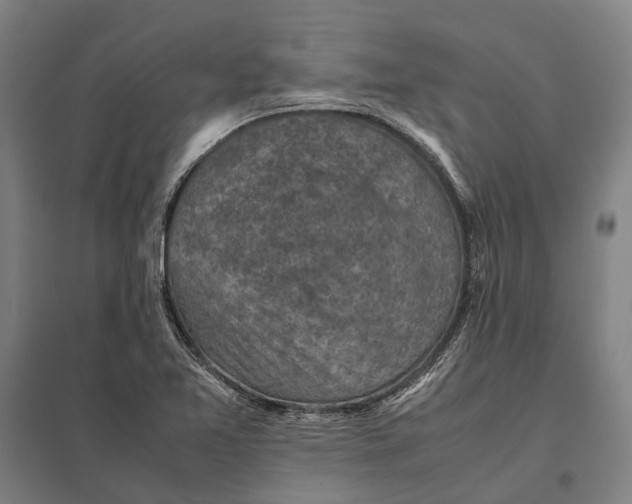 X0000097921365200803281416