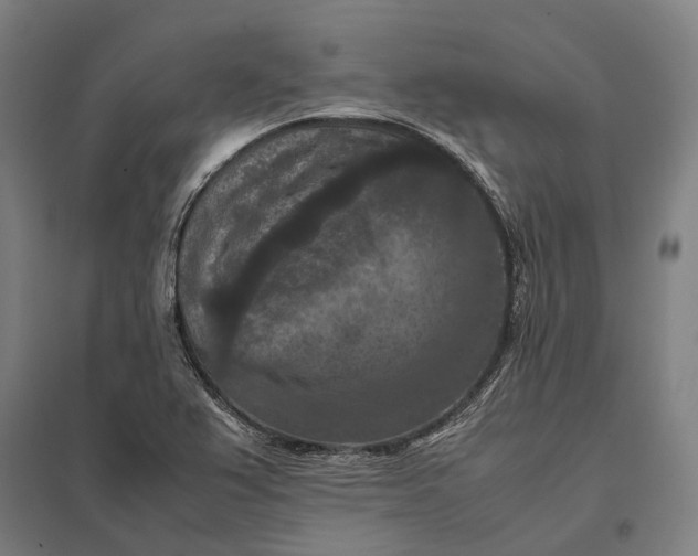 X0000097921367200803281416