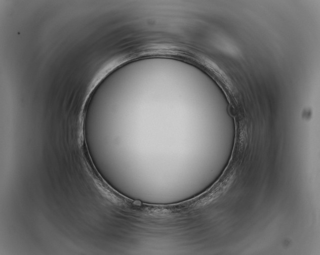 X0000097921370200803281416