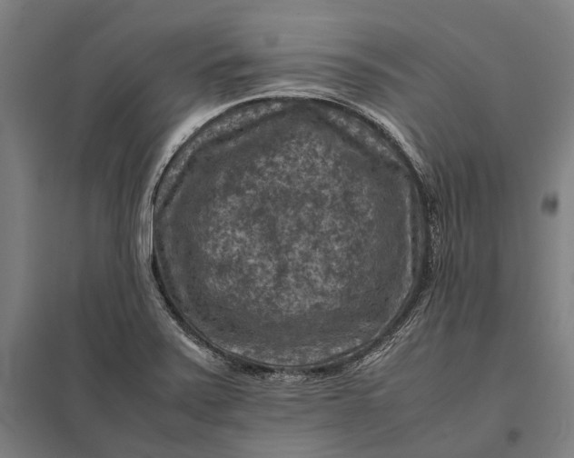 X0000097921371200803281416