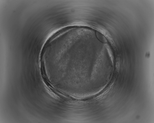 X0000097921372200803281416