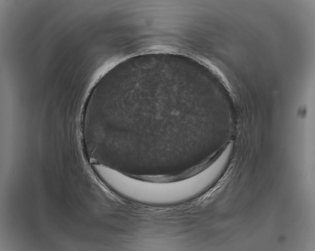 X0000097921373200803281416