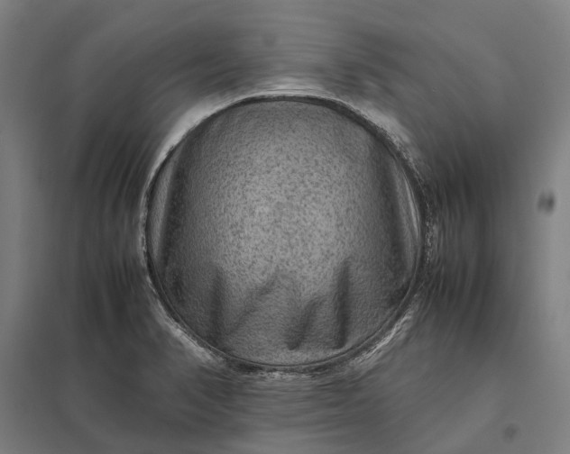 X0000097921374200803281416