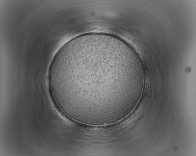 X0000097921375200803281416