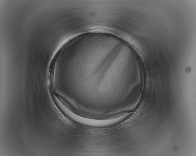 X0000097921376200803281416