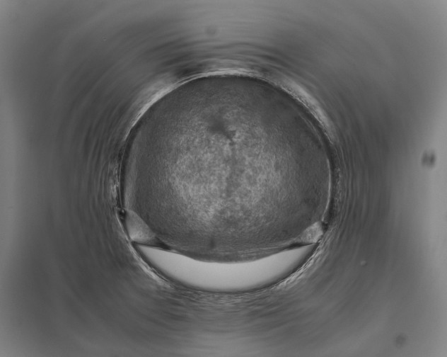 X0000097921377200803281416