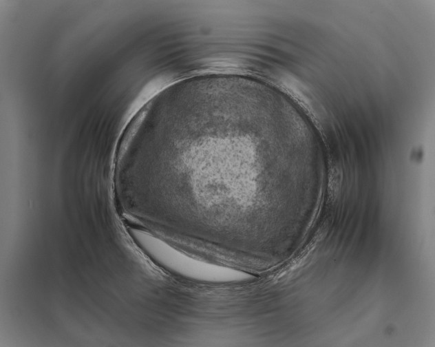 X0000097921378200803281416