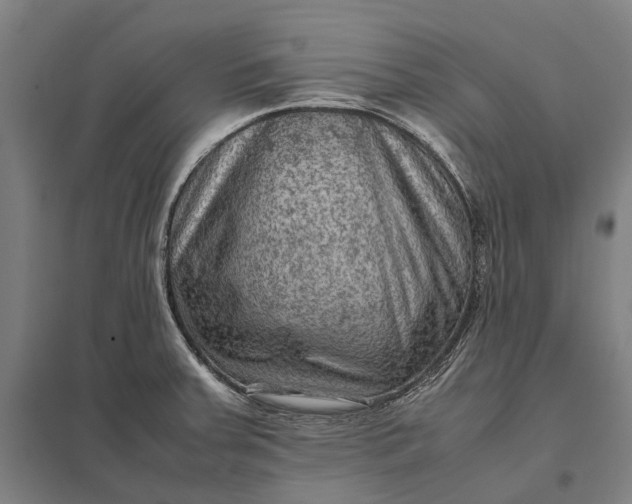 X0000097921379200803281416