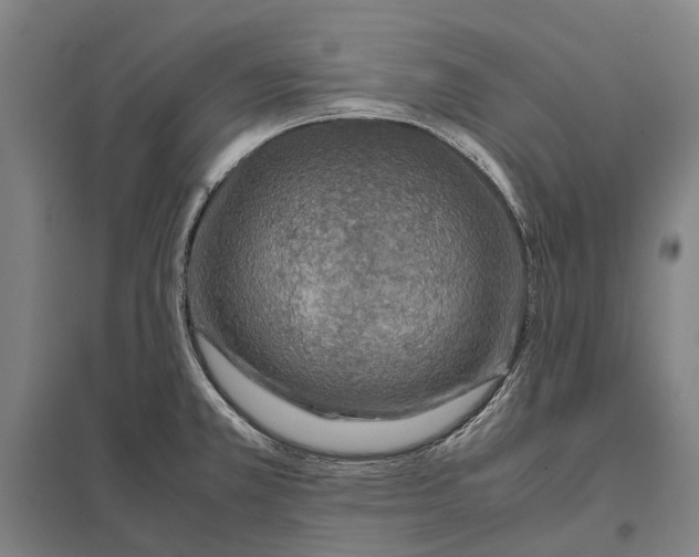 X0000097921381200803281416