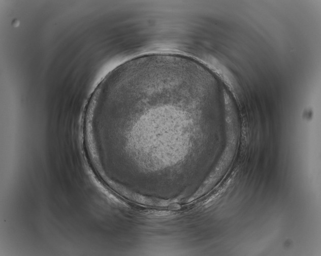 X0000097921382200803281416