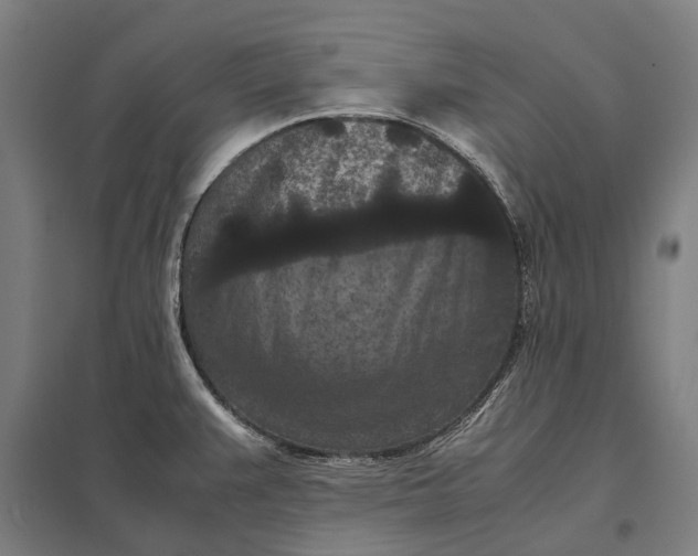 X0000097921383200803281416