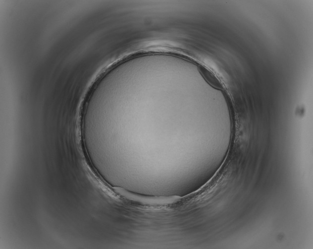 X0000097921384200803281416