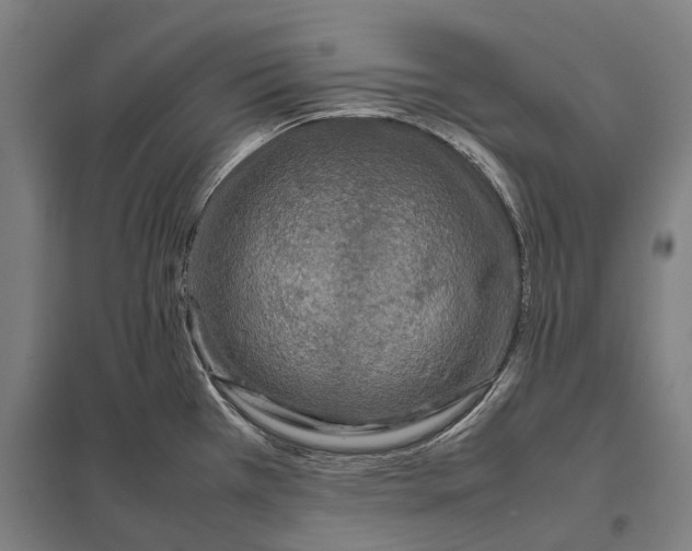 X0000097921385200803281416