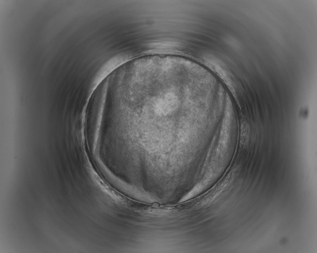 X0000097921386200803281416