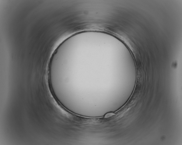 X0000097921387200803281416