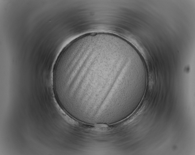 X0000097921388200803281416