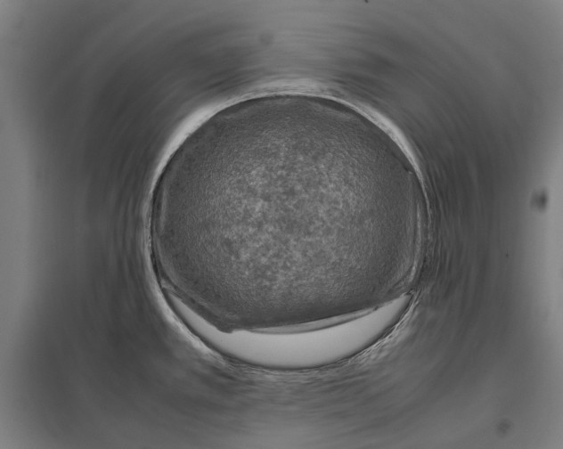 X0000097921389200803281416