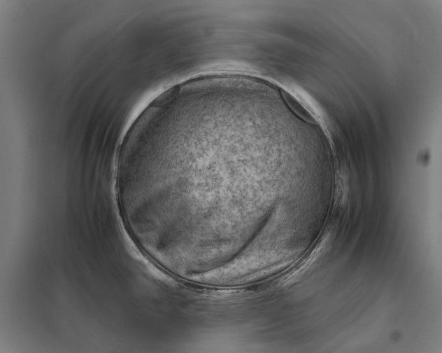 X0000097921390200803281416