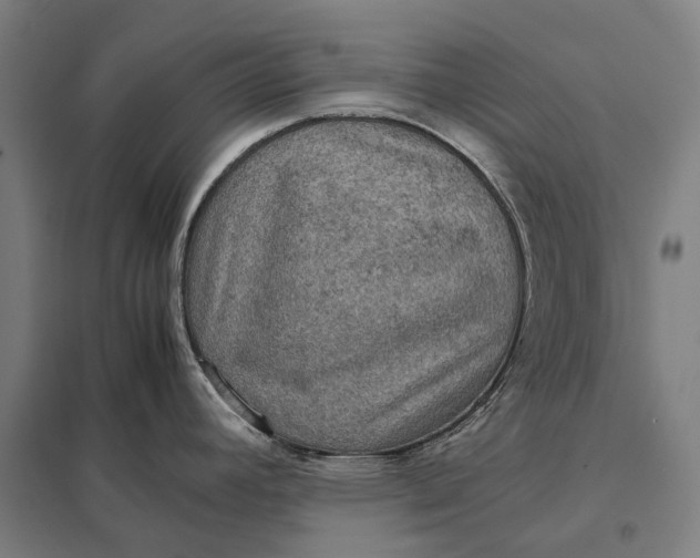 X0000097921392200803281416