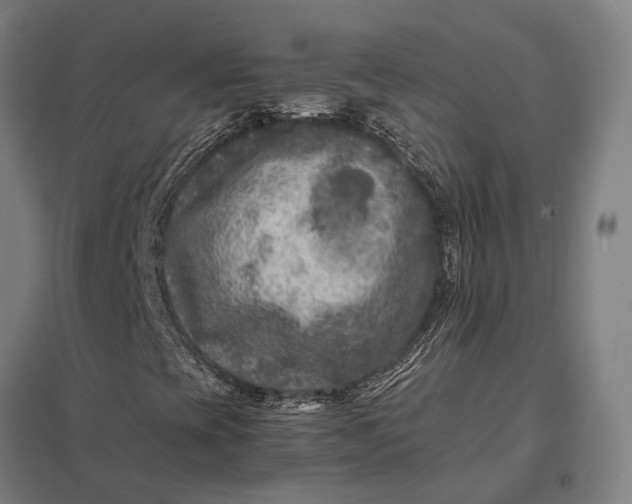 X0000097921393200803281415