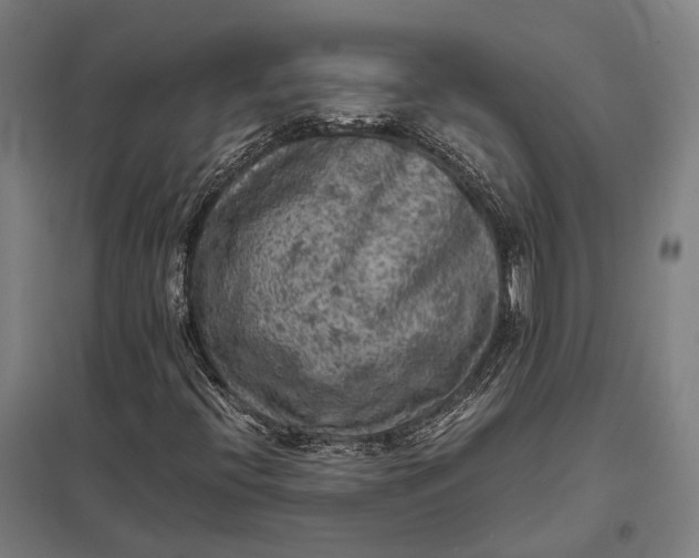 X0000097921396200803281415