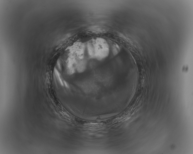 X0000097921397200803281415