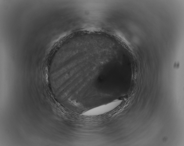 X0000097921398200803281415