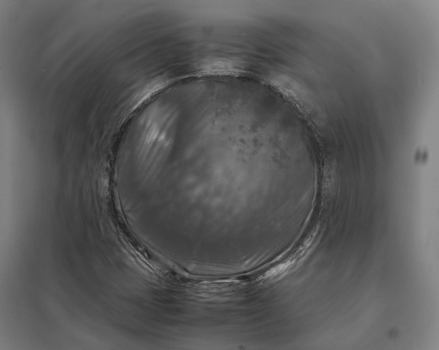 X0000097921401200803281415