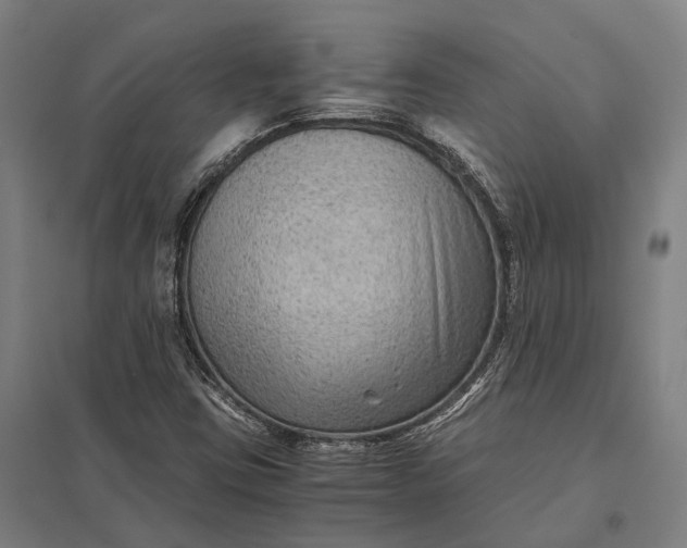 X0000097921403200803281415