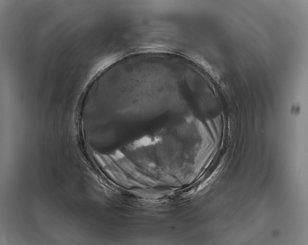 X0000097921405200803281415