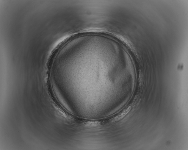 X0000097921406200803281415