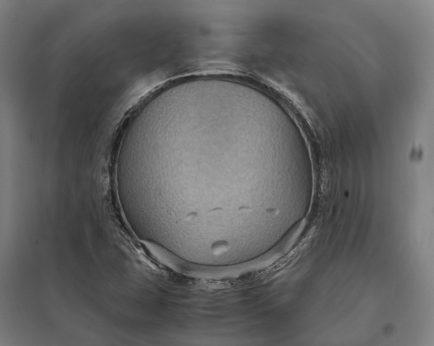 X0000097921407200803281415