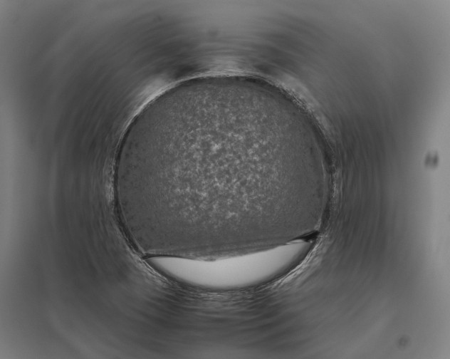 X0000097921409200803281415