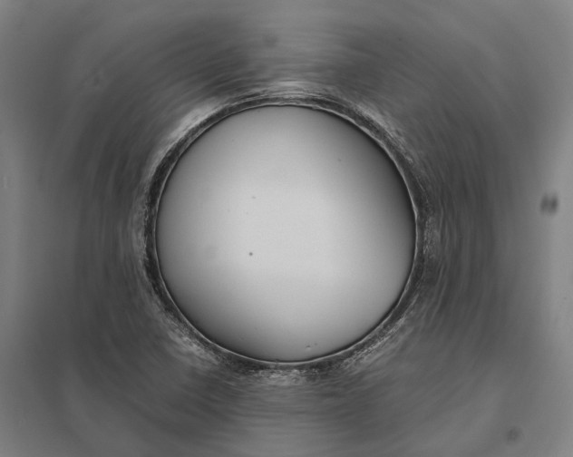 X0000097921410200803281415