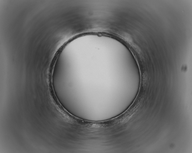 X0000097921412200803281415