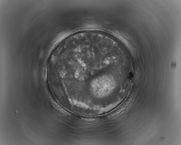 X0000097921413200803281415