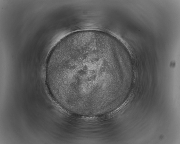 X0000097921415200803281415