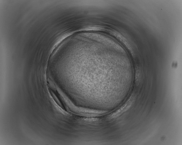 X0000097921417200803281415