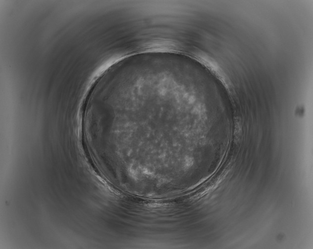 X0000097921419200803281415