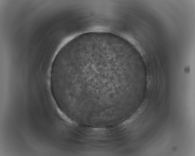 X0000097921421200803281415