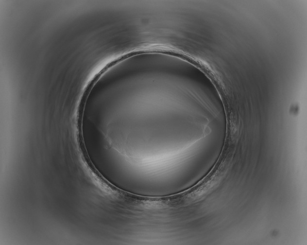 X0000097921422200803281415