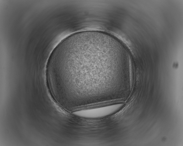 X0000097921423200803281415