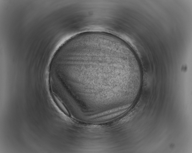 X0000097921424200803281415