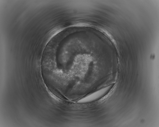 X0000097921425200803281415